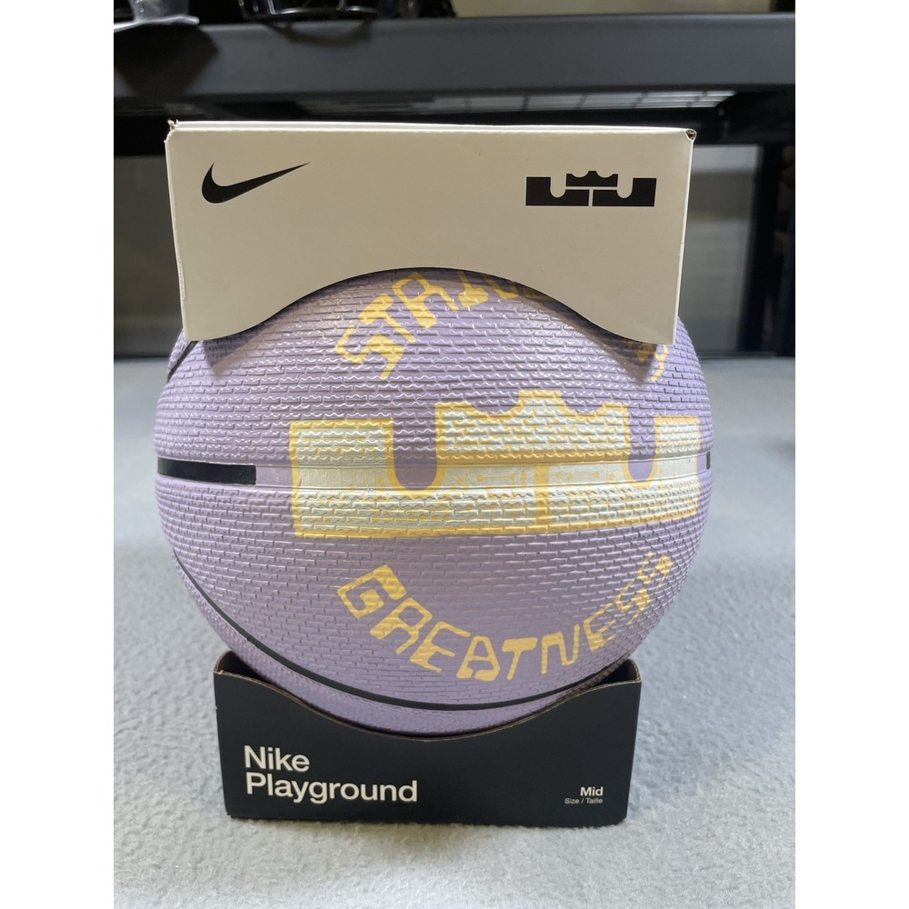 Nike LeBron James Playground Basketball, Purple